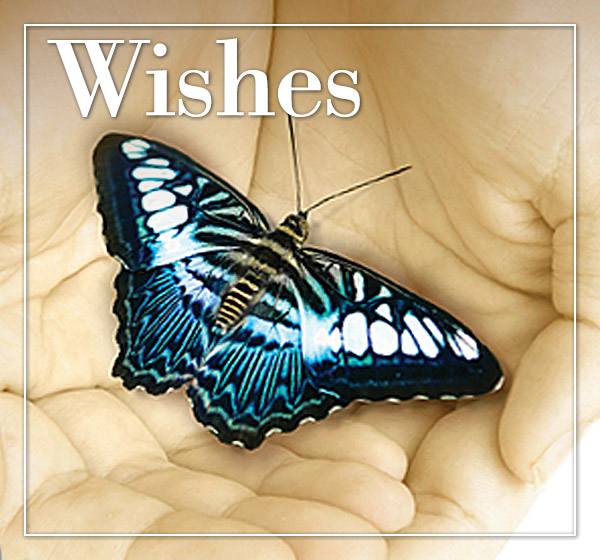 Wishes